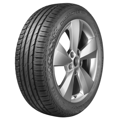 Шина Ikon Nordman S2 SUV (Character Aqua SUV) 225/55 R19 99V
